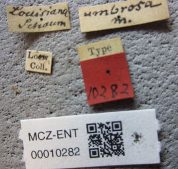 Media type: image;   Entomology 10282 Aspect: labels